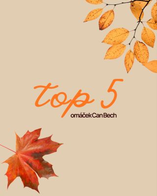 Dneska vám chceme představit naše oblíbené omáčky Can Bech🧡 Tyhle malé skleničky dělají z každého sýra nebo masa malý...